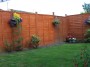 garden (2) * 2032 x 1524 * (820KB)
